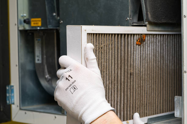 Air Duct Mold Removal in Benton City, WA